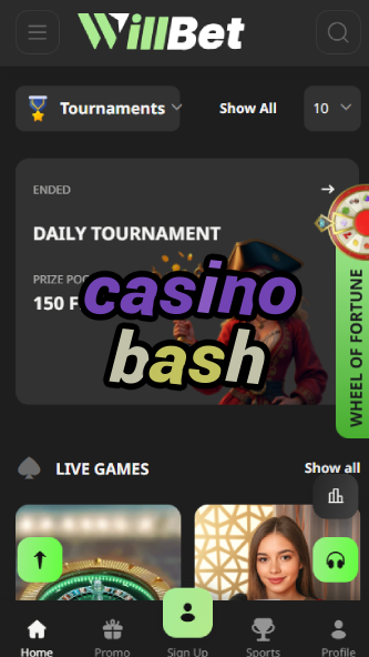 Casino Bash - Party-Themed Casino Platform-casinocasi.ydblkf.net