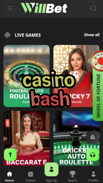 Casino Bash - Party-Themed Casino Platform-casinocasi.ydblkf.net